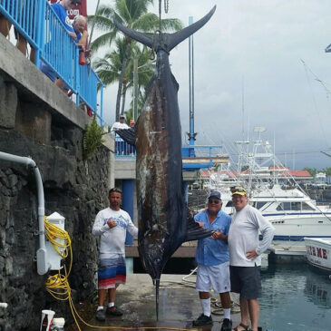 Kona Fishing 101  The Weekly Report for April 28, 2015