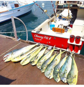 Offshore: Slidebaits For Tuna - The Fisherman