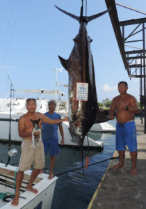 213 lb Swordfish, 300 lb Blue Marlin & Tuna in a day!