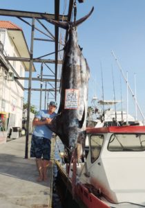 Blue marlin, oriental bonito, sailfish, sharp jaw bonefish and a nunu  ulaula - Jim Rizzuto