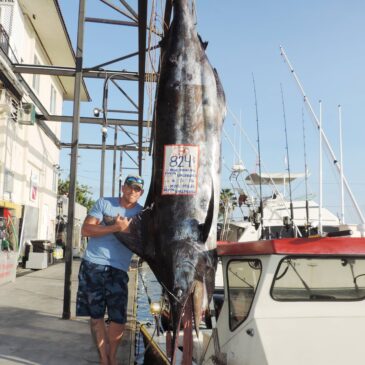 824.5-pound blue marlin
