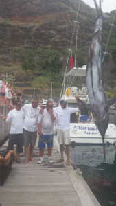 Blue marlin, oriental bonito, sailfish, sharp jaw bonefish and a nunu  ulaula - Jim Rizzuto