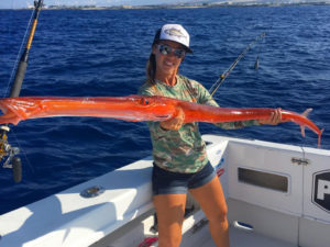 Drone fishing for (Kamanu) Rainbow Runner - Big Island Hawaii