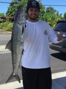 Outdoors Charley Soares Eels Johnnycakes and striped bass candy